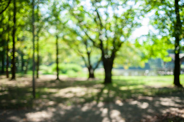 istock green nature blur bokeh background 1424768794