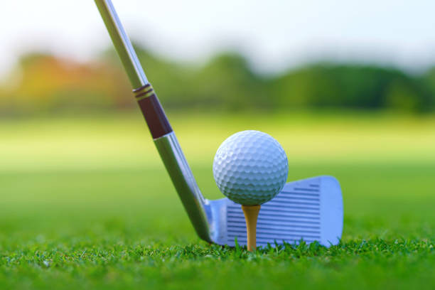 istock Golfer putt golf ball into hole on the green at golf course 1424786028