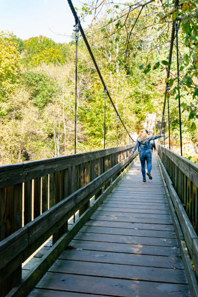 istock Suspension bridge at Turkey Run State Park, IN 1424793537