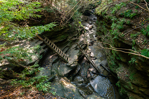 Aerial view of ladders in a rocky ravine on a trail in Turkey Run State Park, Indiana, USA