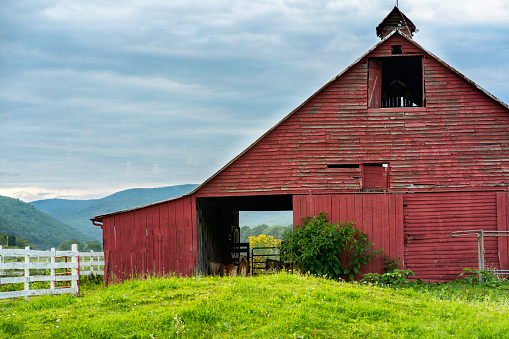 Red Barn and canola field in the Palouse