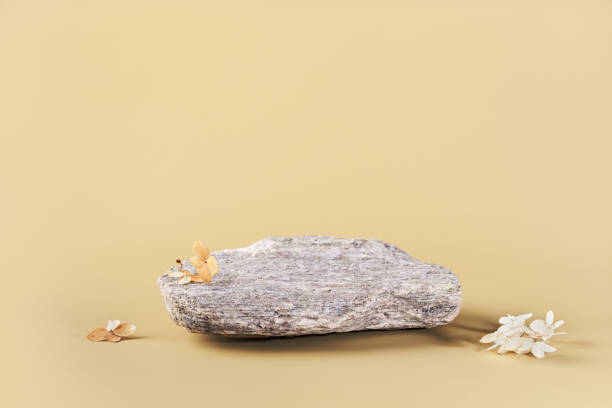 istock Rounded stone and dried flowers. Background for presentation of eco friendly and zero waste products in earth colors 1424798864