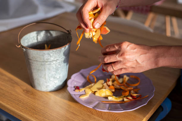 istock Male hands sorting vegetable peelings in tin bin for composting. 1424802542