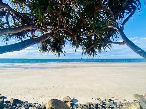 Horizontal seascape of beach sand with shore rocks looking out to breaking waves viewed through tropical island pandanus trees at ideal travel destination Byron Bay NSW Australia