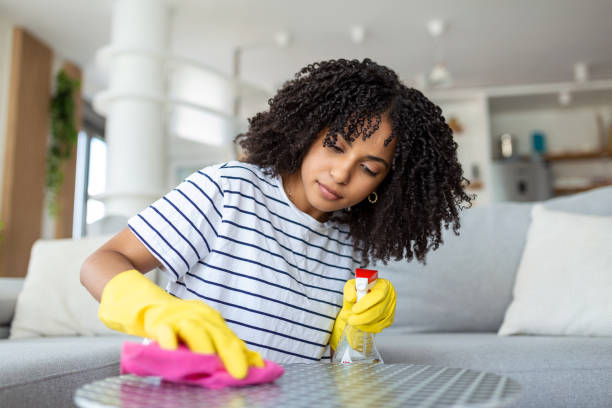 istock Woman in protective gloves is smiling and wiping dust using a spray and a duster while cleaning her house, close-up 1424809255