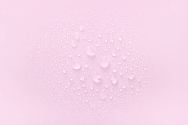 istock water drops on pastel pink background 1424810726