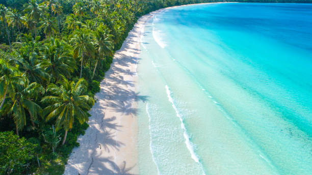 istock Aerial view sandy beach and tropical sea 1424811243