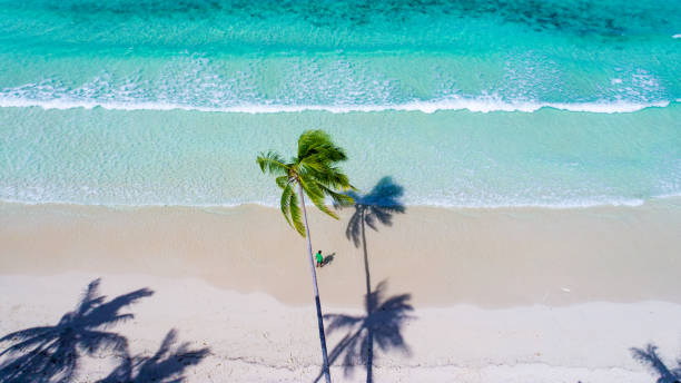 istock Aerial view of tropical paradise 1424811246