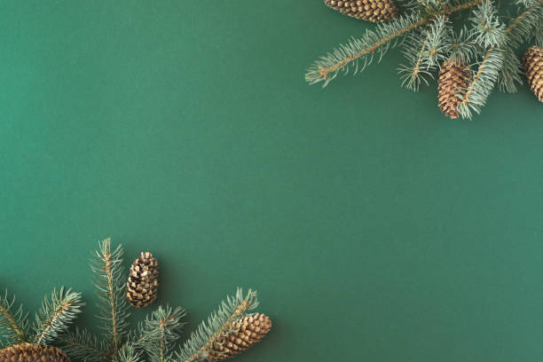istock Creative layout made of Christmas tree branches on green paper background. Flat lay. Top view. Nature New Year concept. 1424815407