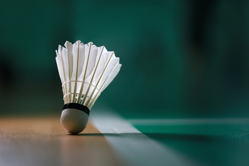 Close-Up Of Shuttlecock On A Green Badminton Court, Low Angle View, Copy Space