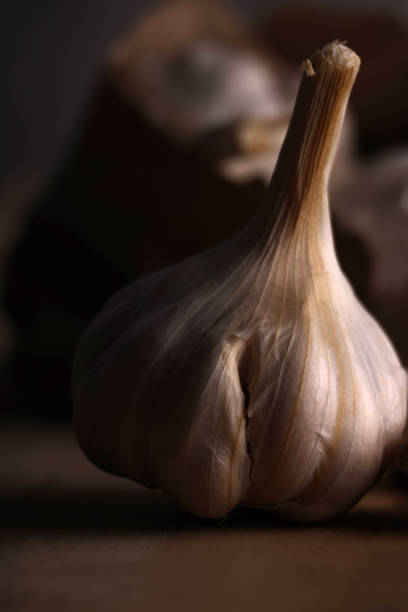 Bulb Of Garlic stock photo