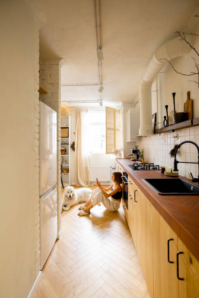 istock Woman with dog in modern and stylish kitchen 1424833547