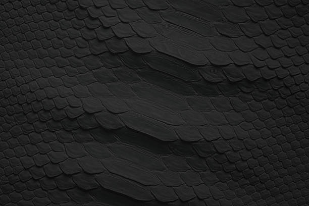 istock black snake skin texture, reptile leather as background 1424834833
