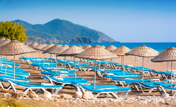 istock Many chaise lounge and the straw umbrellas 1424839384