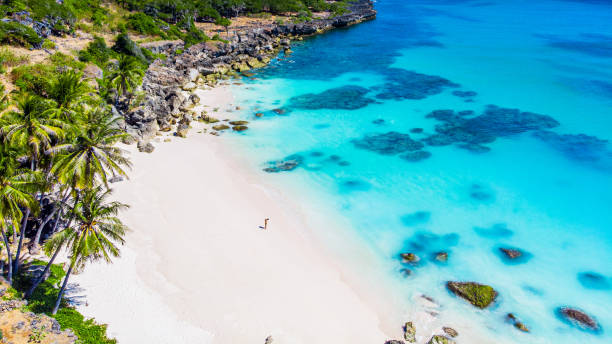 istock Tropical beautiful seashore and turquoise wate 1424841487