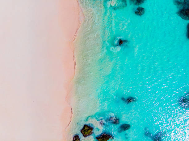 istock Overhead view of sandy beach and sea 1424843160