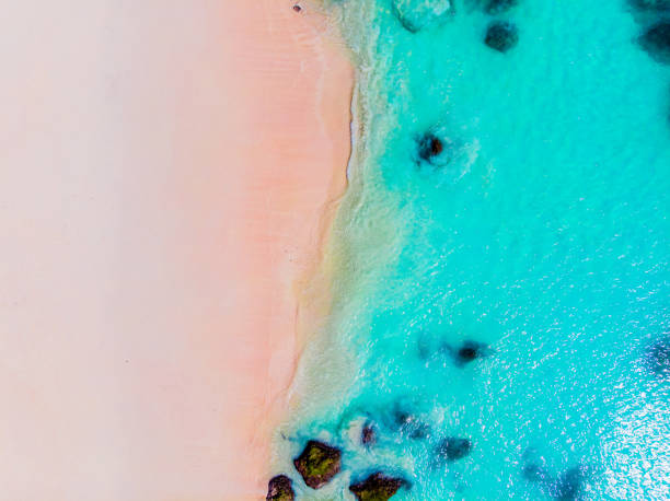 istock Aerial view of ocean and beach 1424843308