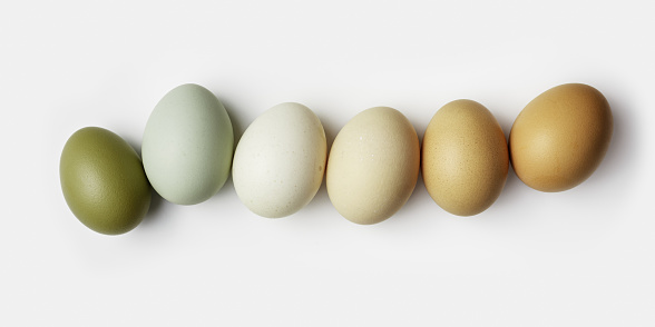 Top view of boiled chicken eggs in row. Minimal style photo made of natural colors fresh eggs on white background. Color gradient olive and brown tones. Healthy protein food concept. Pastel colored