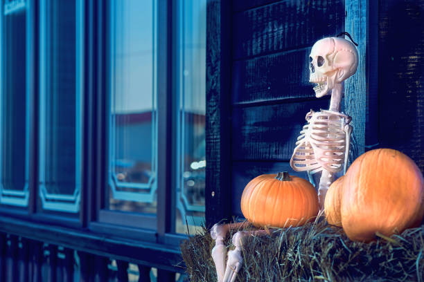 istock White halloween skeleton on a hay, orange pumpkins and blue windows 1424848787