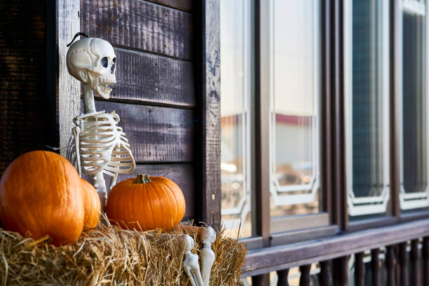 istock White halloween skeleton on a hay, orange pumpkins and gray windows 1424848977