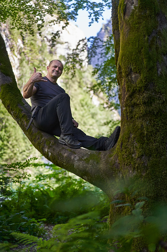 Man sitting on a branch in a tree, like in a hammock