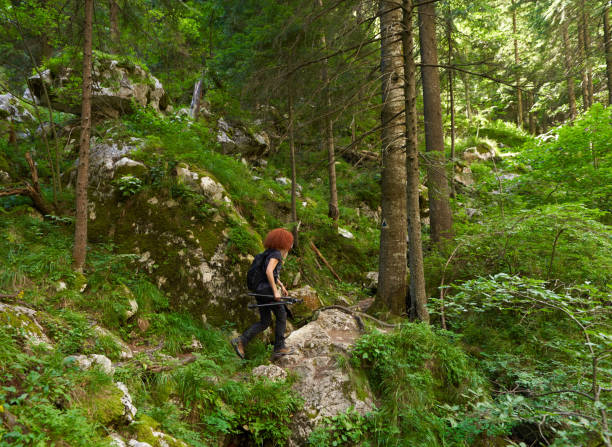 istock Woman hiking on a trail in the forest 1424849715