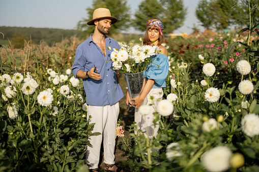 Portrait of man and woman stand as farmers with bucket full of freshly picked up white dahlias, working at flower farm outdoors. Concept of a small business of growing dahlias in summer garden