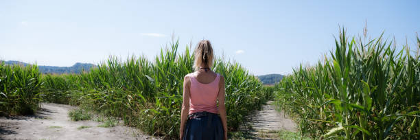 istock Wide view image of a young woman standing in the middle of green corn fields 1424852425