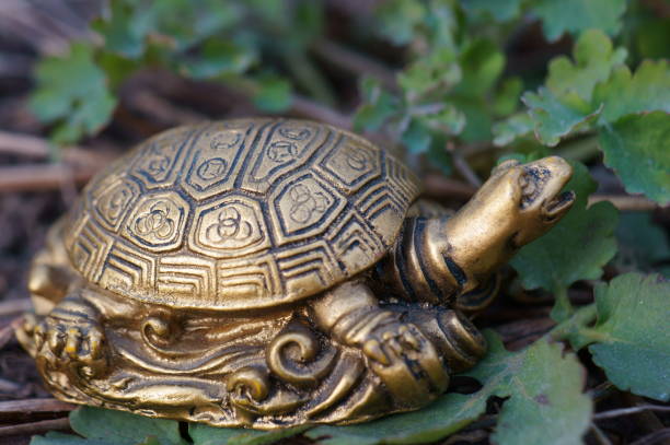 istock A metal turtle on a background of green grass. 1424861112
