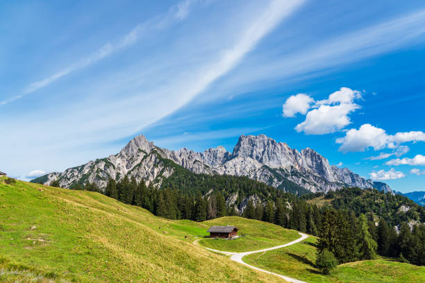 istock View to the mountain pasture Litzlalm in the Alps, Austria 1424861185