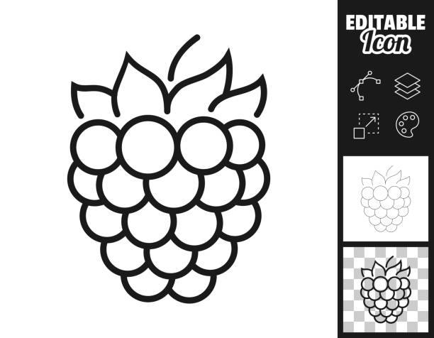 ilustrações, clipart, desenhos animados e ícones de framboesa. ícone para design. facilmente editável - raspberry