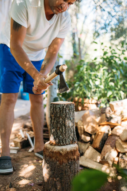 istock Strong man choping wood for the winter, with steel ax 1424866751