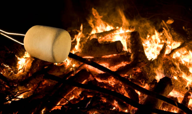 istock Single marshmallow starting to roast 1424869693