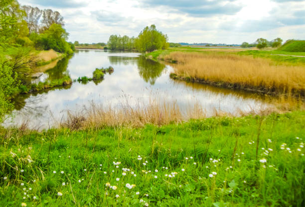 istock Natural panorama view with moor water coast trees forest Germany. 1424871267