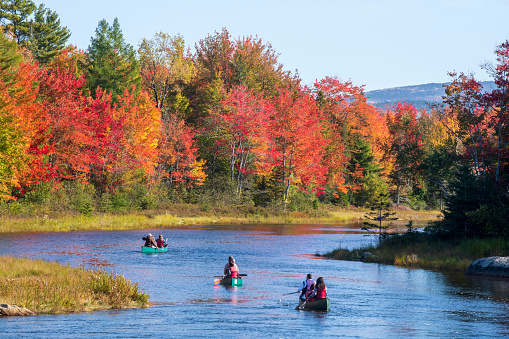 Bar Harbor, USA - Octobe 9, 2021. People canoeing in river in Autumn, Bar Harbor, Maine, USA