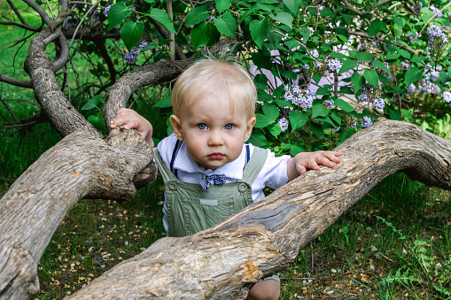 Portrait of adorable little boy with blue eyes near to tree in blossom spring garden with purple lilac flowers.