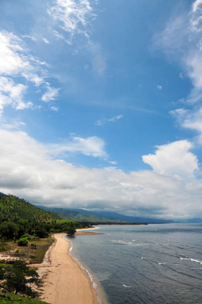 istock Huiali beach, Manatuto district,  East Timor 1424883008