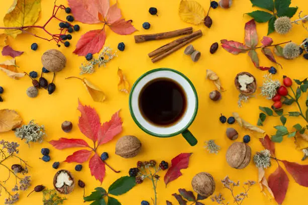 Autumn composition top view. An even layer of nuts, leaves, berries, autumn flowers on a bright orange background with a green coffee cup in the center. Creative concept of harvest, comfort, warmth.