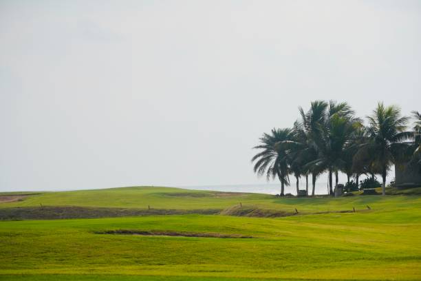 istock Golf course with a rich green turf beautiful scenery, blue sky and beach at the background. 1424891392