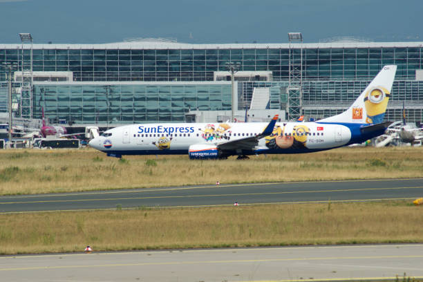 SunExpress Boeing 737-800 registration TC-SOH aircraft with comic book livery at Frankfurt Airport Frankfurt, Germany - 09 Jul, 2017: SunExpress Boeing 737-800 registration TC-SOH aircraft with comic book livery at Frankfurt Airport. sunexpress stock pictures, royalty-free photos & images