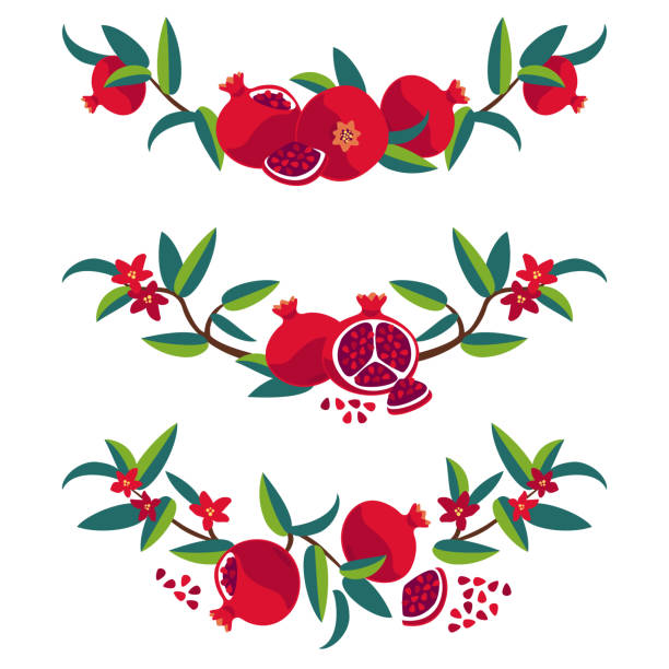 декоративные элементы с гранатом - pomegranate pomegranite tree tree leaf stock illustrations