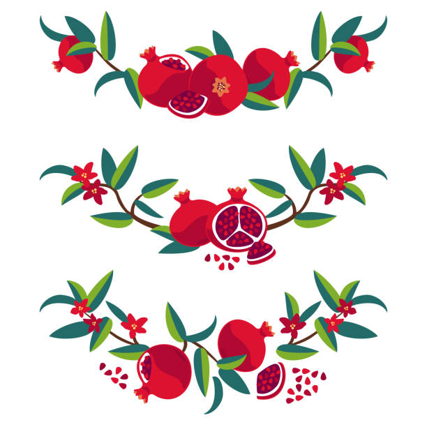 Decorative elements with pomegranate Pomegranate fruit, leaves and seeds arranged in decorative elements, isolated on a white background. pomegranate tree stock illustrations