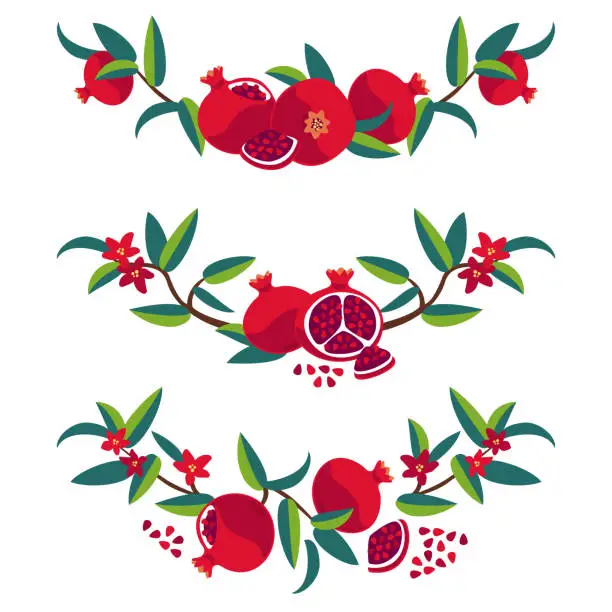 Vector illustration of Decorative elements with pomegranate