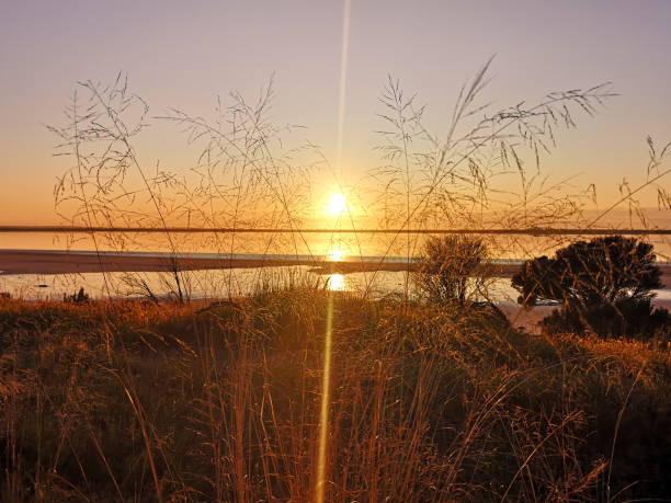 istock Sunrise in the countryside 1424897596