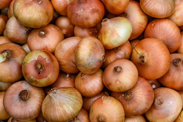 istock Photography on theme beautiful onion vegetable plant 1424898587