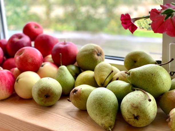 Red apples and green pears on the windowsill.