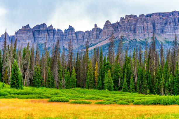 istock Wyoming Wilderness Landscape 1424898932