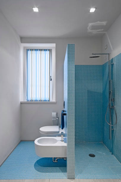 istock interiors view of a modern bathroom 1424901922