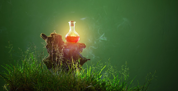 botella de pociones mágicas en el bosque mágico photo