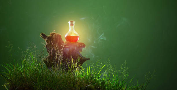 bottle of magic potions in  magical forest stock photo